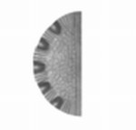 G1389-L