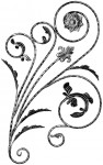 U1178-L